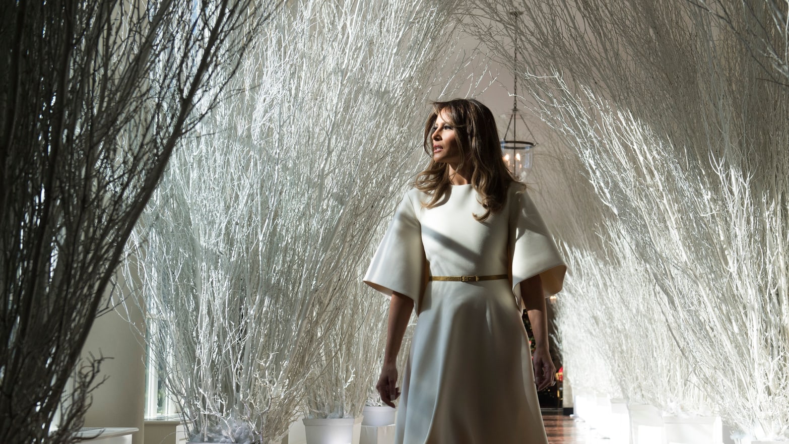 1566px x 881px - The Daily Show' Roasts Melania Trump for Hating Christmas: 'Imagine if Michelle  Obama Got Caught'