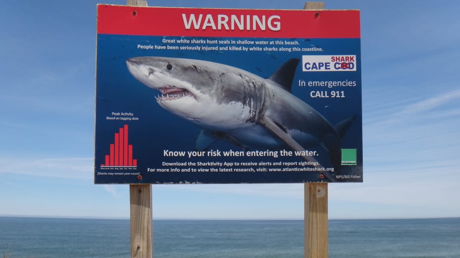 Warning sign for Great White Shark Biting Incidents