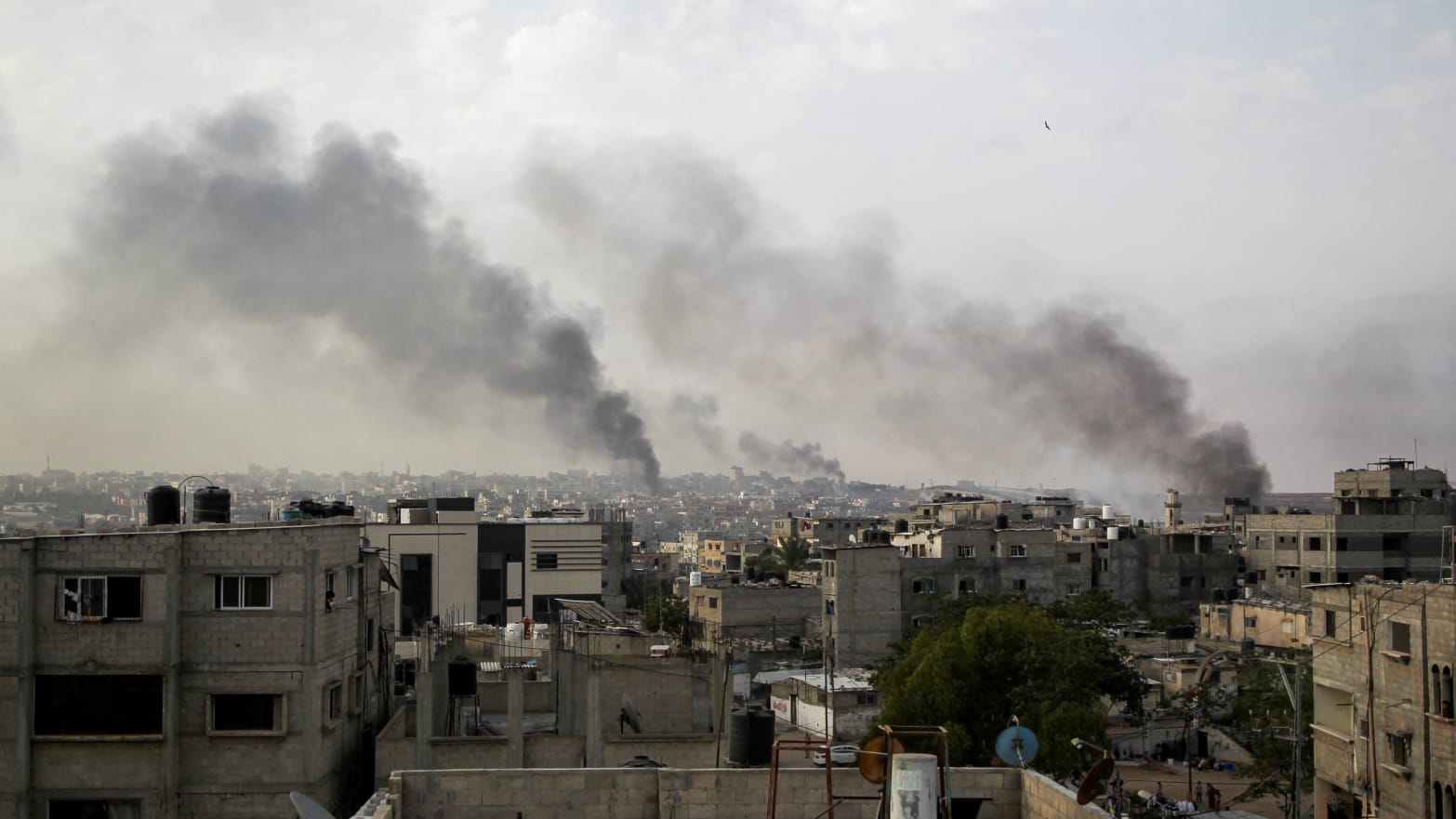 Israeli tanks have reportedly reached the center of Rafah in southern Gaza. 