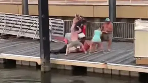 Cops ID and Charge White Antagonists in Wild Alabama Dock Brawl