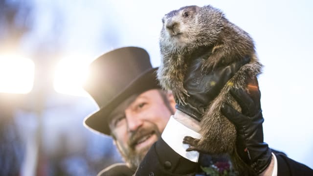 Punxsutawney Phil is held up by his handler for the crowd to see during the ceremonies for Groundhog day on February 2, 2018.