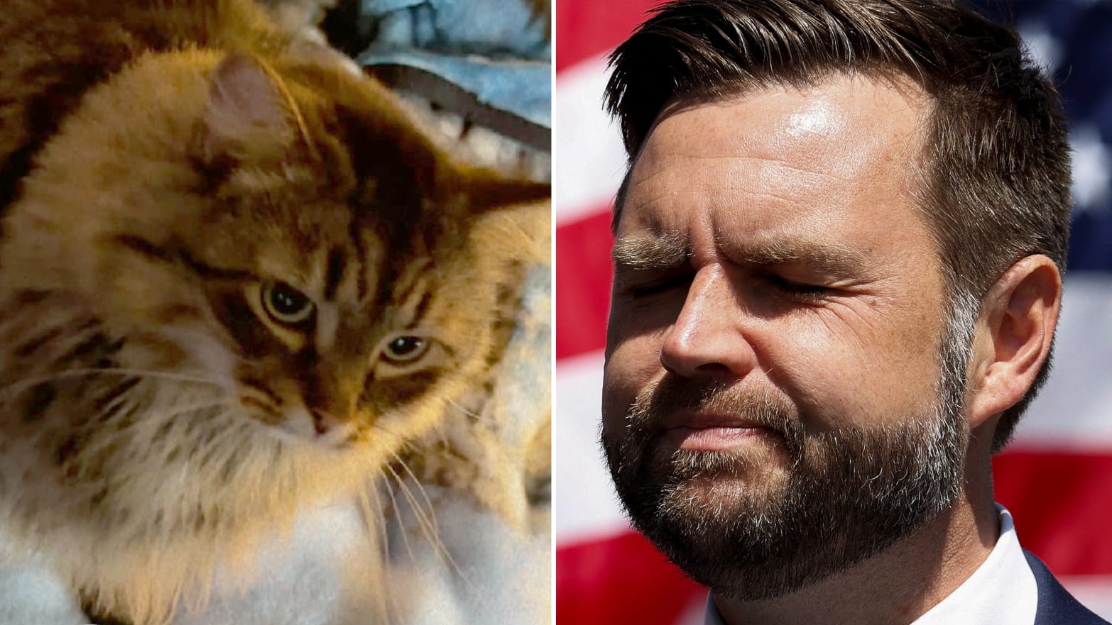 Split photos of the cat Miss Sassy and JD Vance