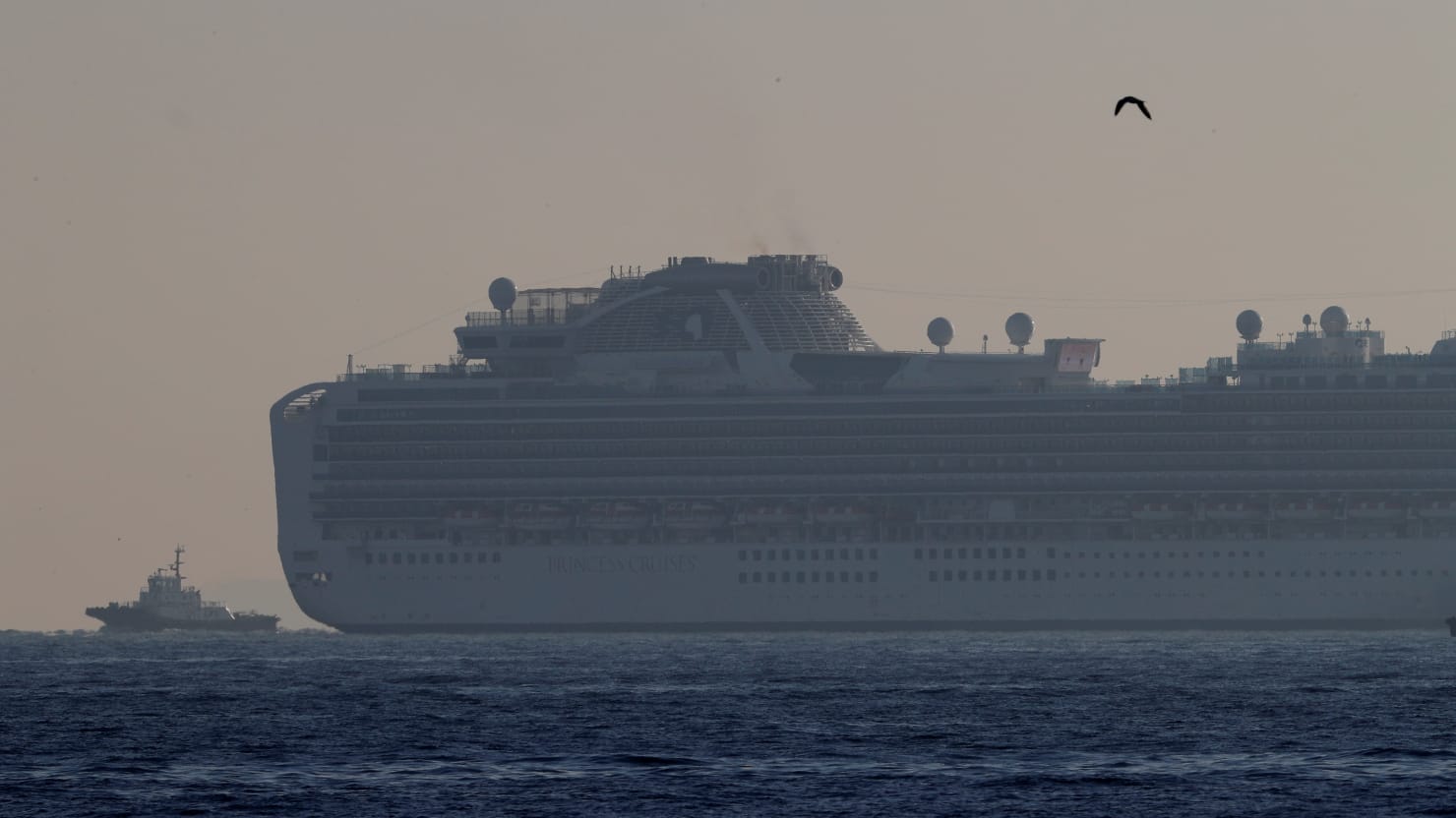 Diamond Princess лайнер коронавирус