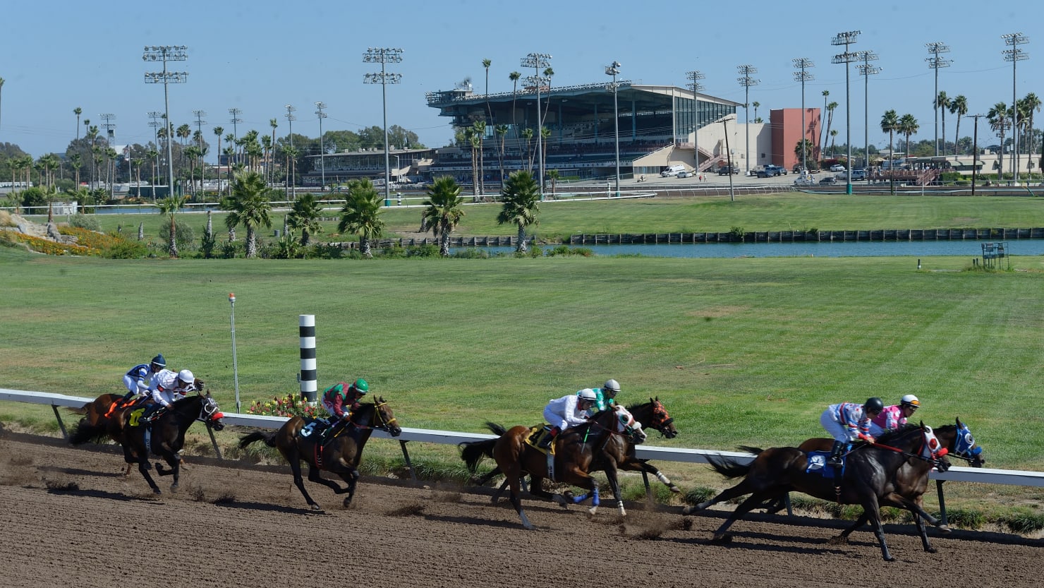 Horses Just Keep Dying at Los Alamitos Race Course