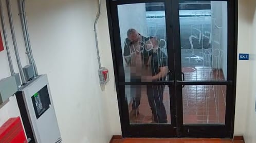 Security camera footage of 2 men urinating in service entrance of Precinct Bar in LA.