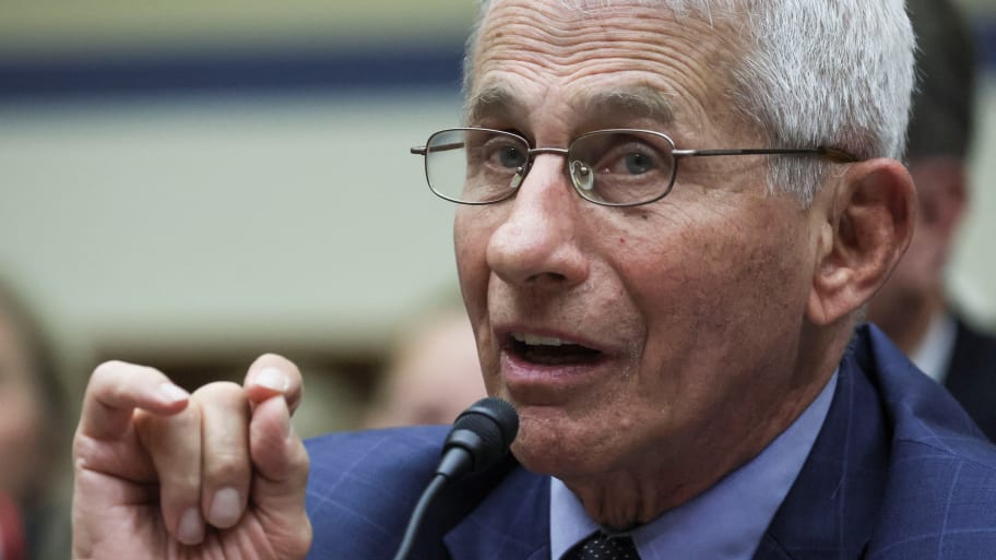 Dr. Anthony Fauci, former director of the National Institute of Allergy and Infectious Diseases and former chief medical adviser to President Biden, testifies before a House Oversight and Reform Select Subcommittee hearing.