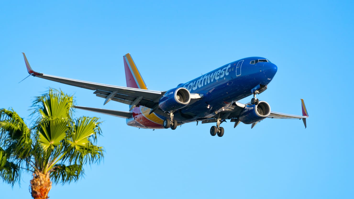 1480px x 833px - Southwest Pilot Stripped Off and Watched Porn Mid-Flight, Co-Pilot's  Lawsuit Says