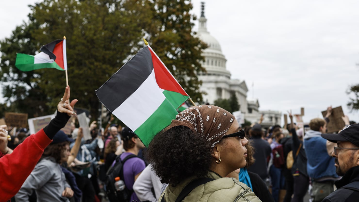 Dozens of Activists Arrested for Pro-Palestine Protest at Bernie Sanders,  Elizabeth Warren Offices