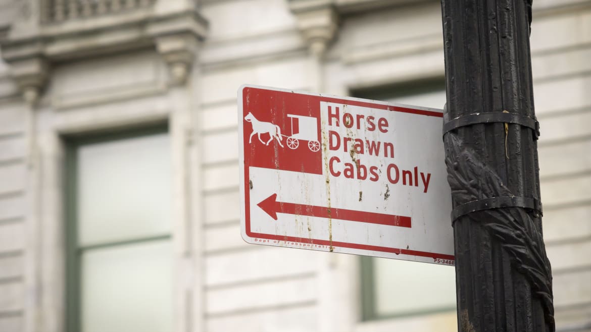 Viral Carriage-Horse Driver Sued for Ruining Rival’s Reputation