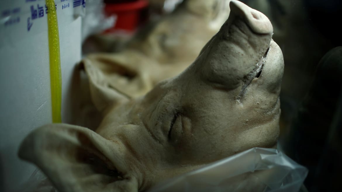 Someone Keeps Sending Russian Propagandists Severed Pig Heads