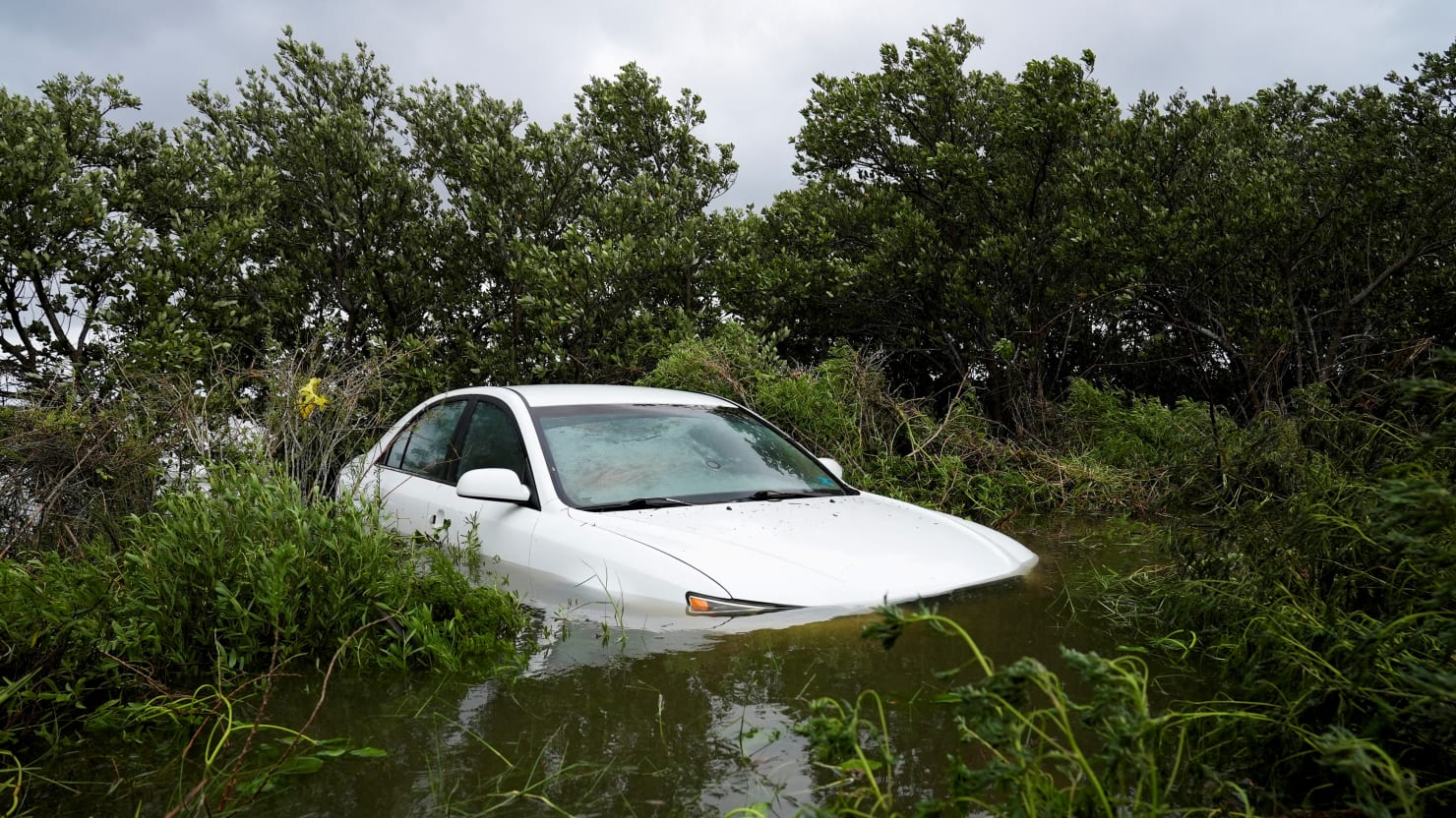 Tons of Incredible Cars Were Sacrificed to Hurricane Ian: Now They