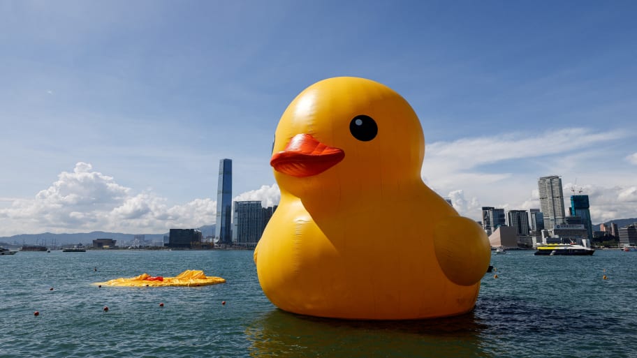 One of the inflatable yellow ducks created by Dutch artist Florentijn Hofman is seen deflated at Victoria Harbour in Hong Kong.