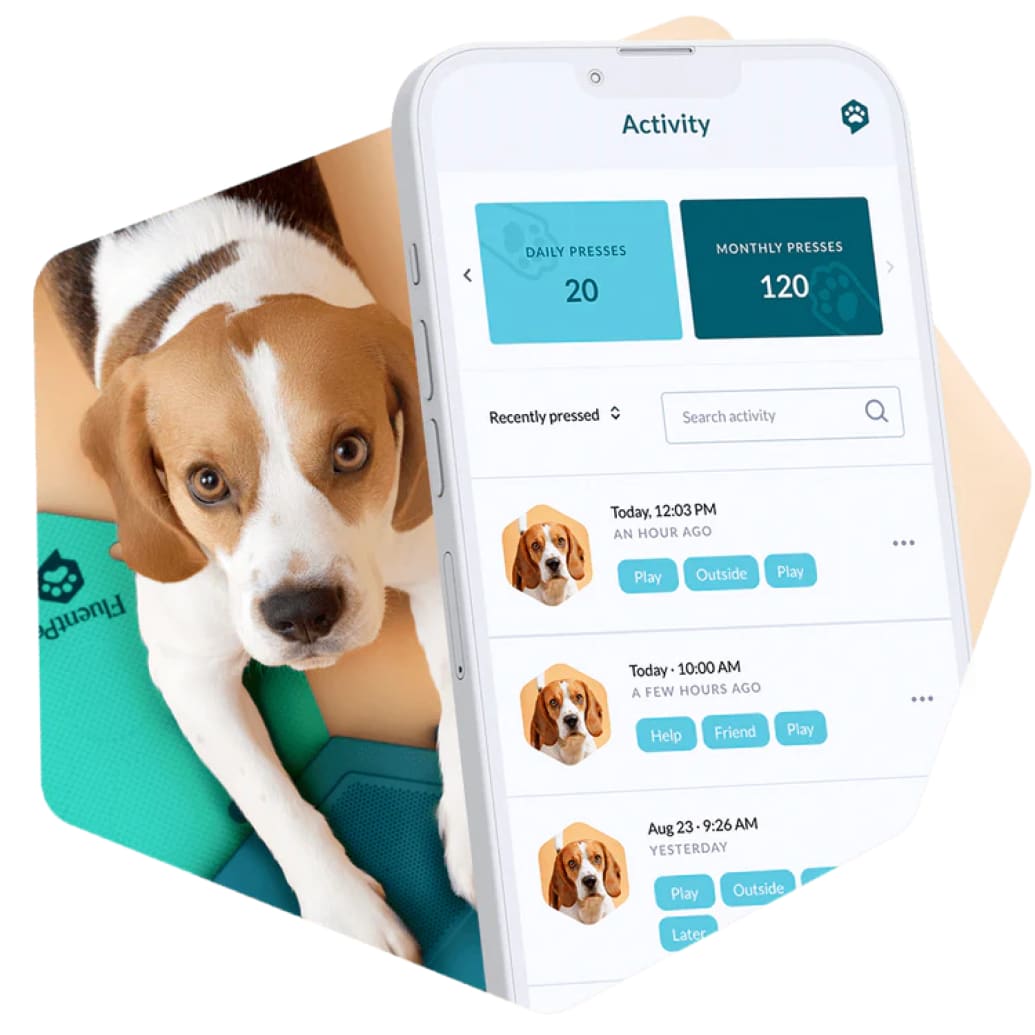 A dog behind a phone displaying the FluentPet app