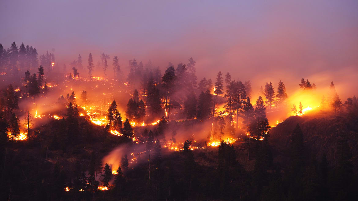 How Air Pollution and Wildfires Are Making Us More Suicidal