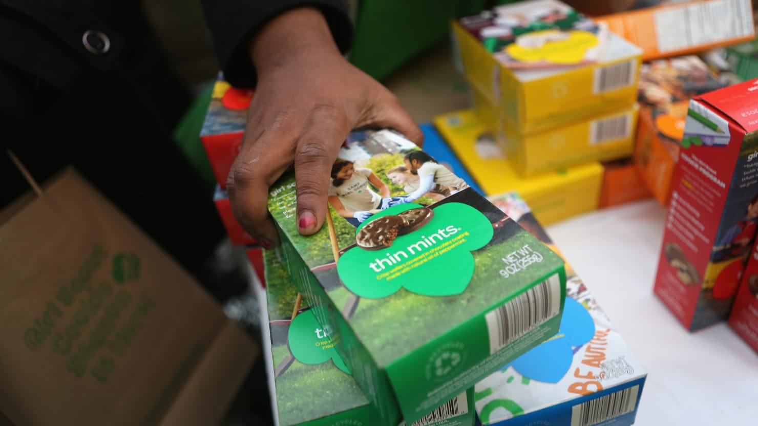 Hidden link found between child labor and girl scout cookies