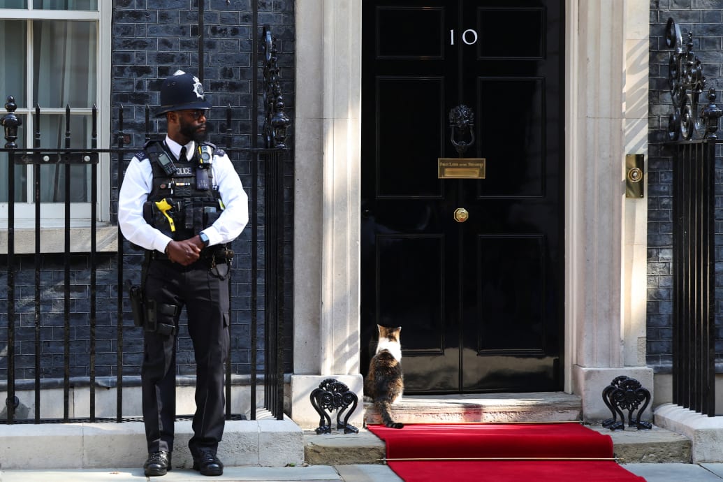 Larry the Cat sits next to a police officer on the day of Ukraine's President Volodymyr Zelenskiy's visit at Number 10 Downing Street in London, Britain July 19, 2024.