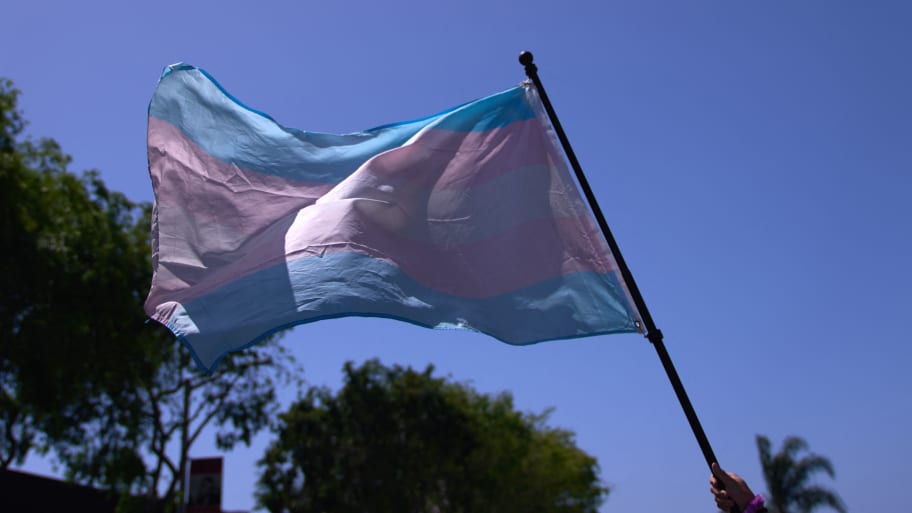 A Transgender Pride Flag is held above the crowd of LGBTQ+ activists.