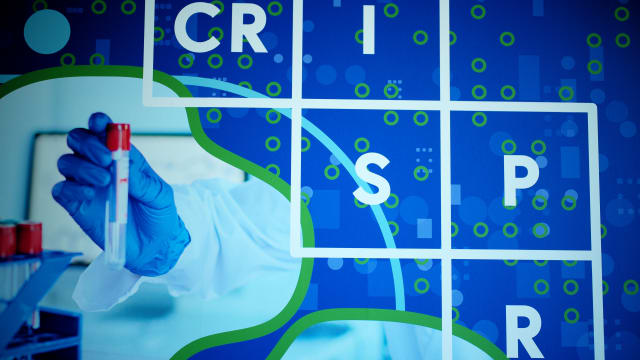 A portion of a mural at the new Crispr Therapeutics building.