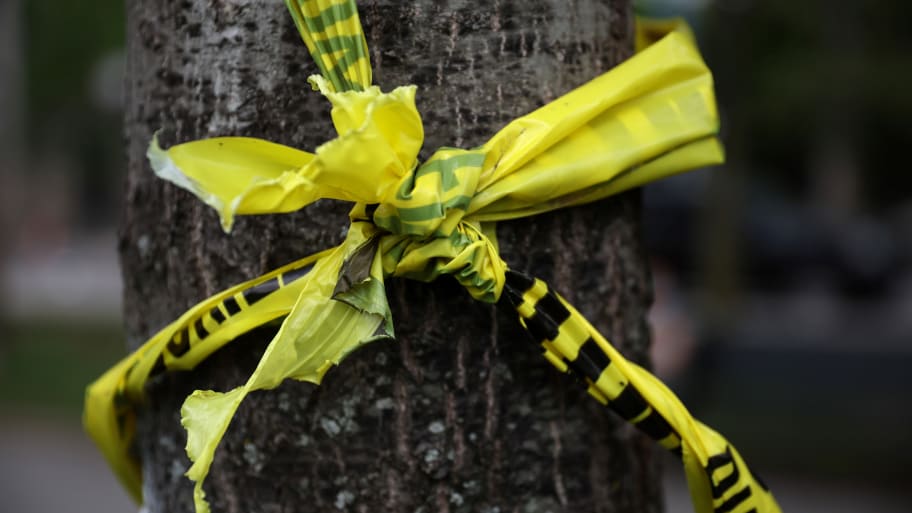 Crime scene tape around a tree