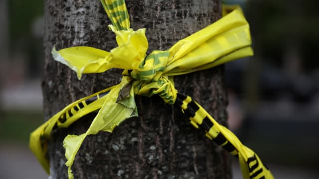 Crime scene tape hangs from a tree