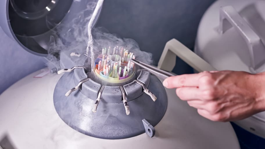 Woman manipulating a frozen storage at sperm bank with nitrogen smoke