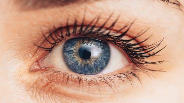 The left eye of a person. It is a bright and shimmering blue. 