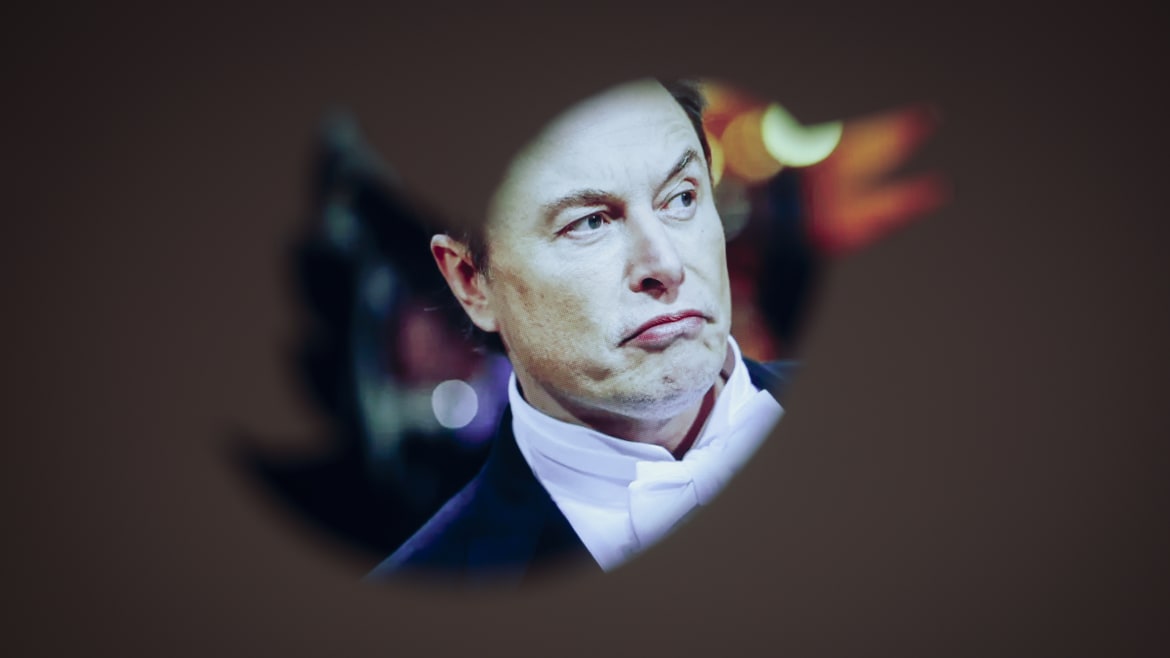 Elon Musk’s Twitter Suspends Another Reporter Who Pissed Him Off