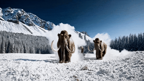 Wooly mammoths running through a frozen tundra