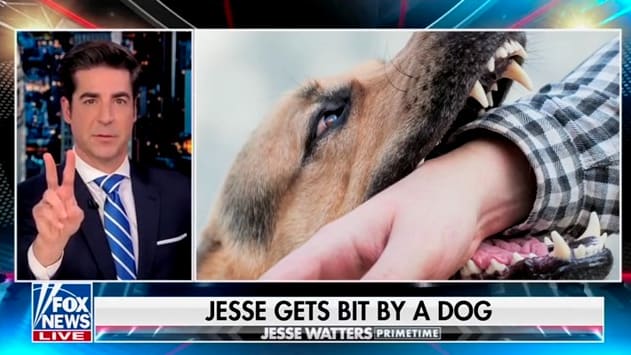 Jesse Watters Says He Was Bitten in Crotch by a Dog Over Thanksgiving