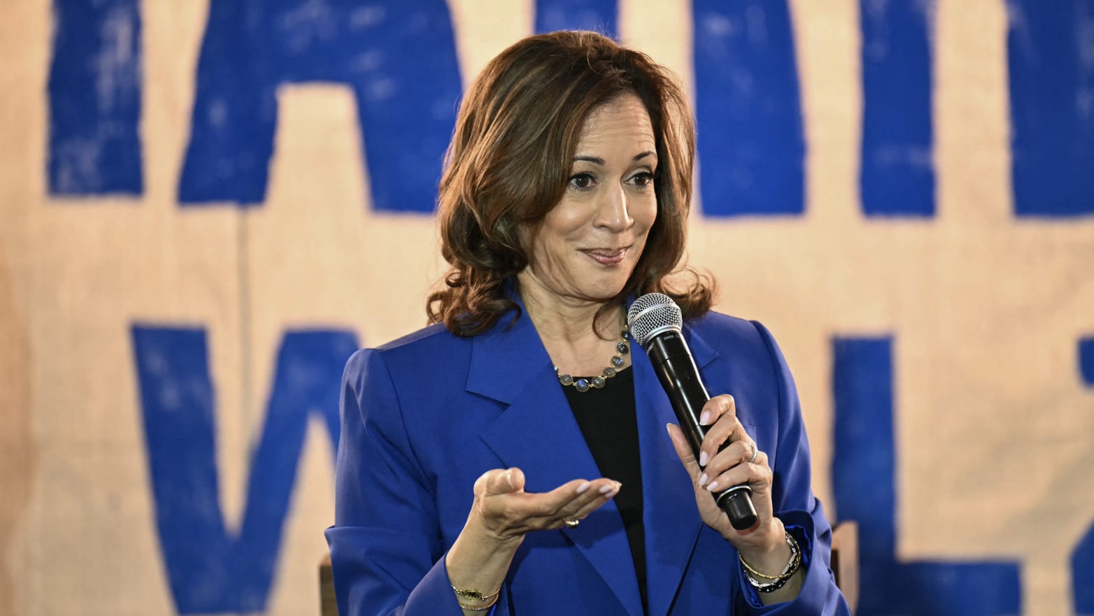 Vice President and Democratic presidential candidate Kamala Harris speaks during a stop on her campaign bus tour in Rochester, Pennsylvania.