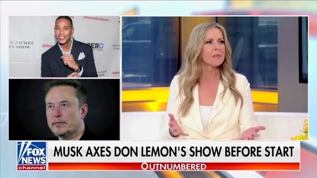 Fox Business anchor Cheryl Cason talks about Don Lemon and Elon Musk on Fox News show Outnumbered.