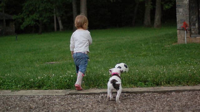 A puppy and a toddler walk together on a grass lawn.