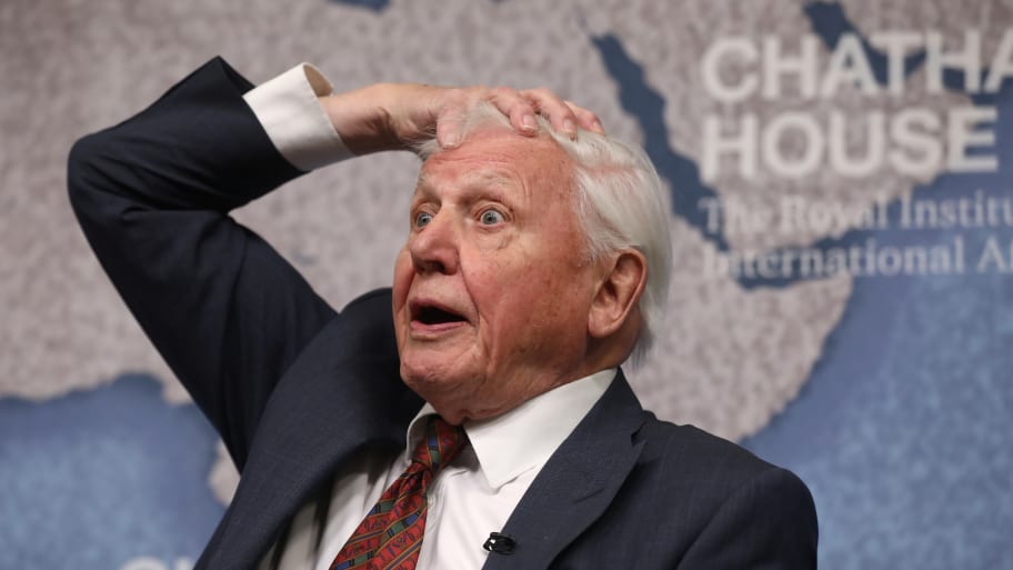 David Attenborough reacts before accepting the annual Chatham House award in London, Britain November 20, 2019. 