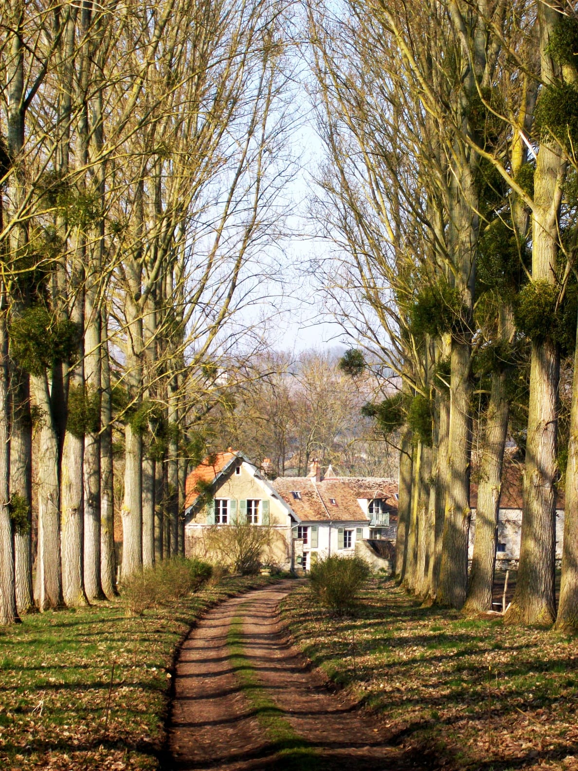 A photograph of a view down a path in Luzarches, France.