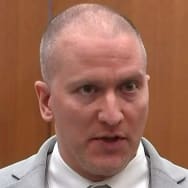 Former Minneapolis police officer Derek Chauvin is accused of using excessive force on a female city employee.