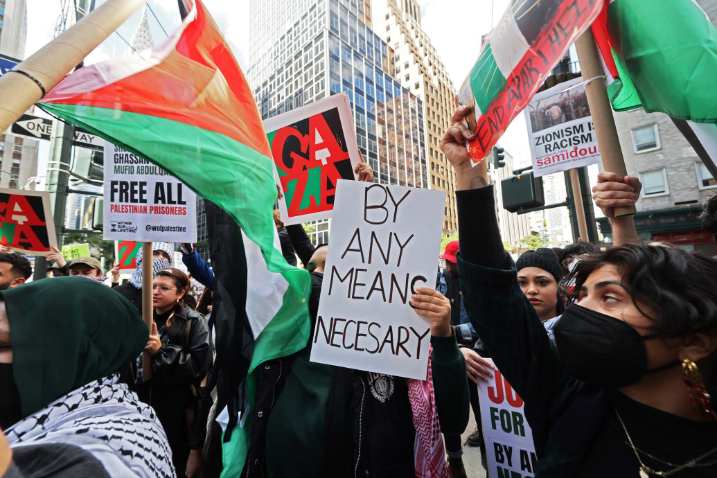 Photograph of a protest sign at a Pro-Palestine rally reading "By any means necessary"