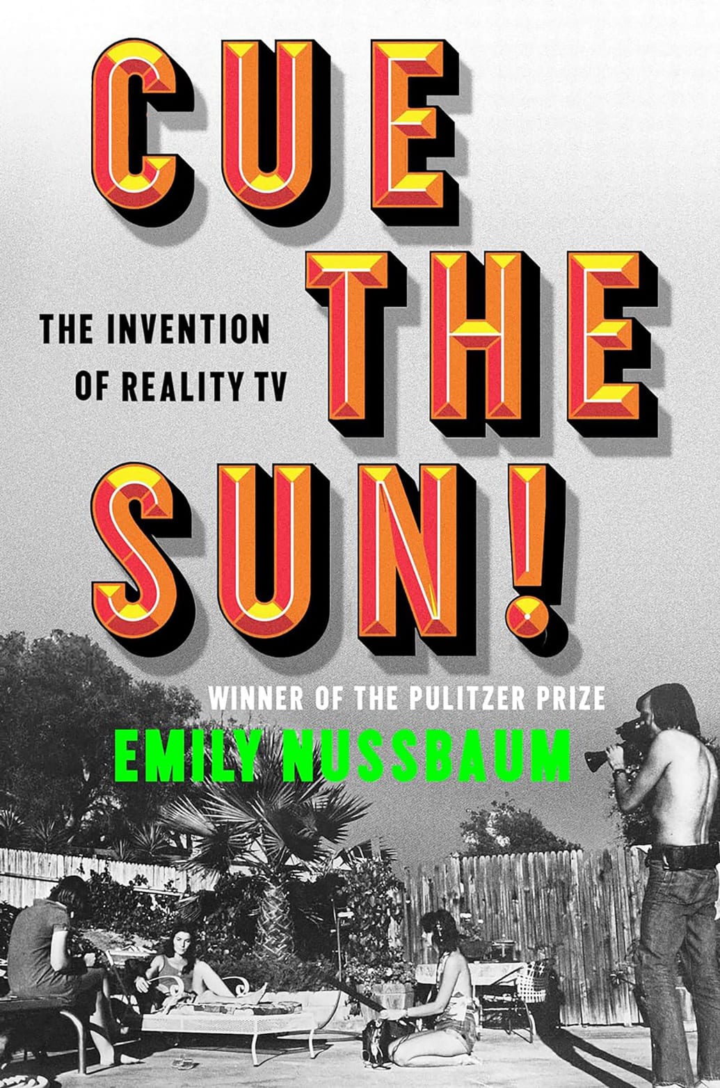 Book cover for Emily Nussbaum's book