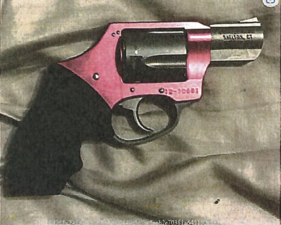 A picture of the pink revolver allegedly wielded by Elmer Castro.