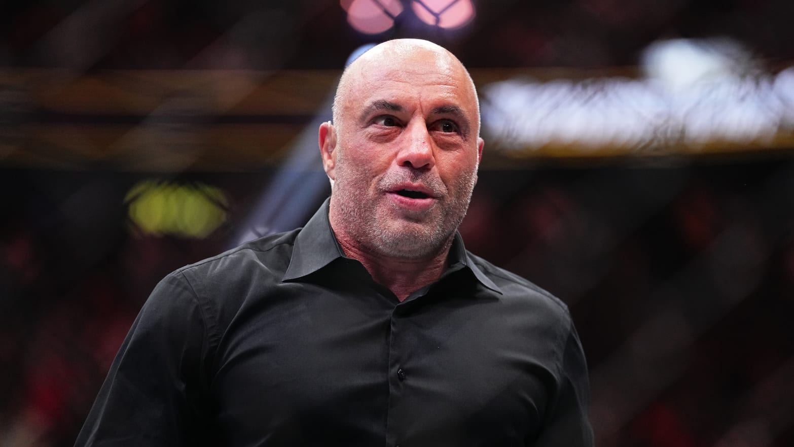 Joe Rogan at a UFC event.