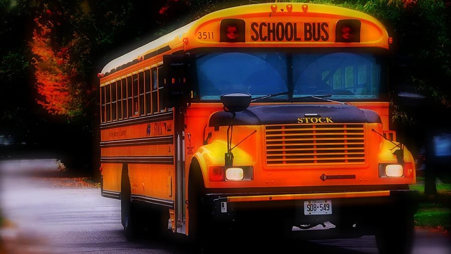 A yellow school stock bus.