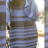 Keir Johnston has admitted to assaulting his wife, Grace. “The Dress” that was bought for their wedding went viral in 2015 as people debated its colors. 