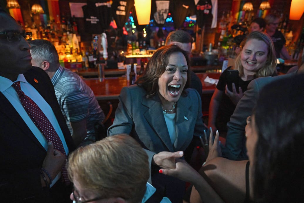 A picture of Kamala Harris at the Stonewall Inn in New York City.
