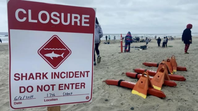 The city of Del Mar announced Sunday that it was closing all its beaches for swimming and surfing after a shark bit a swimmer near shore.