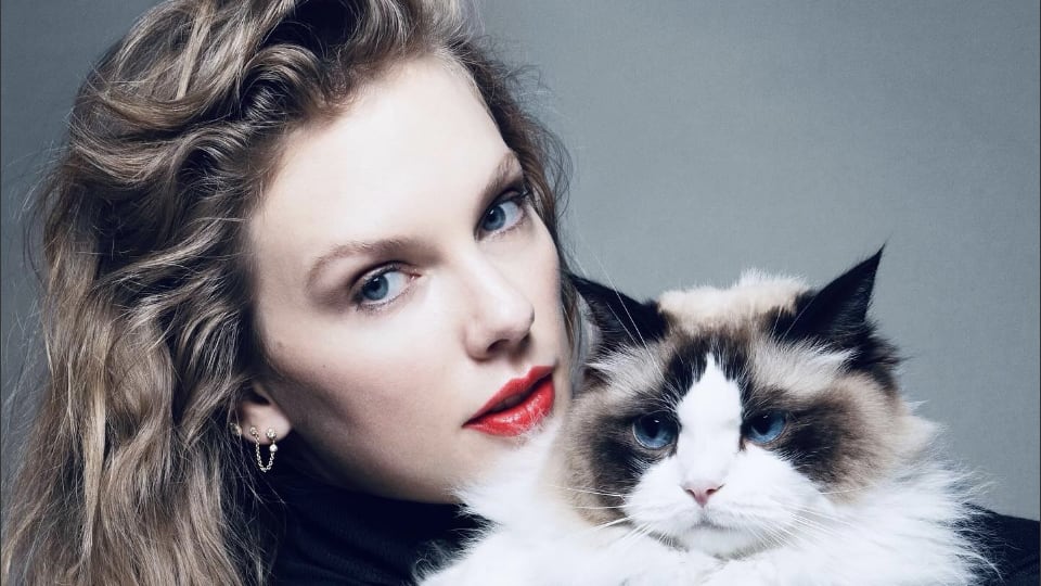 Taylor Swift poses with a cat.