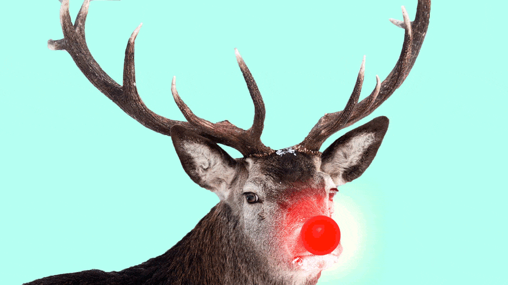 Rudolph the red nosed reindeer reindeer games scene