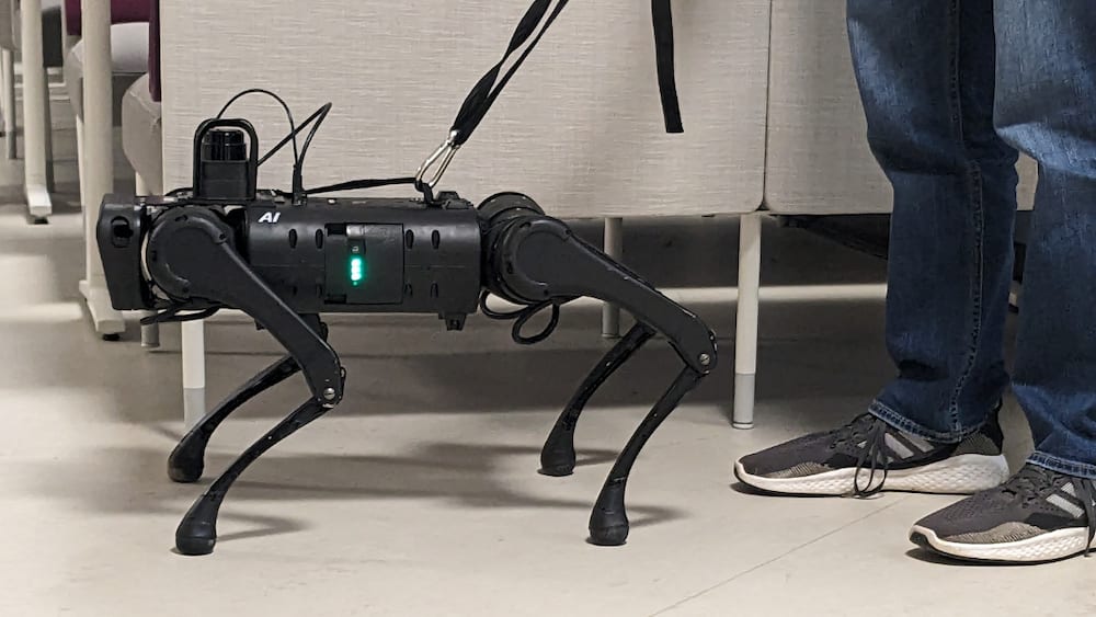 The robotic seeing eye dog leading a user through a building.
