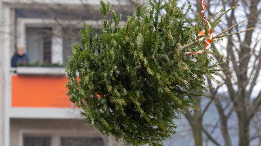 A Christmas tree marked with orange and white ribbon flies through the air during a competition.