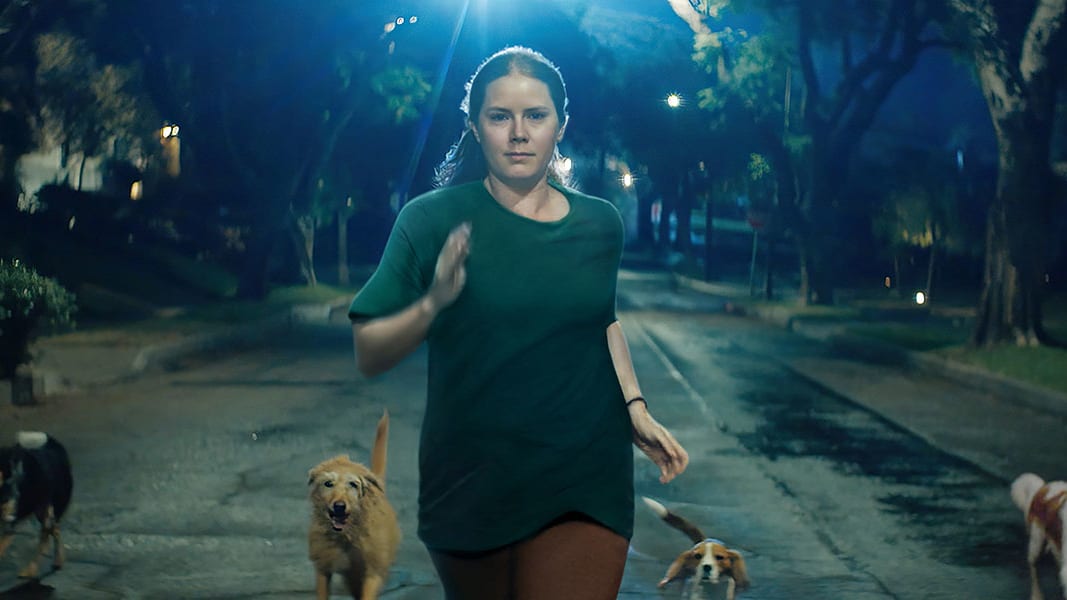 A still from Nightbitch featuring Amy Adams