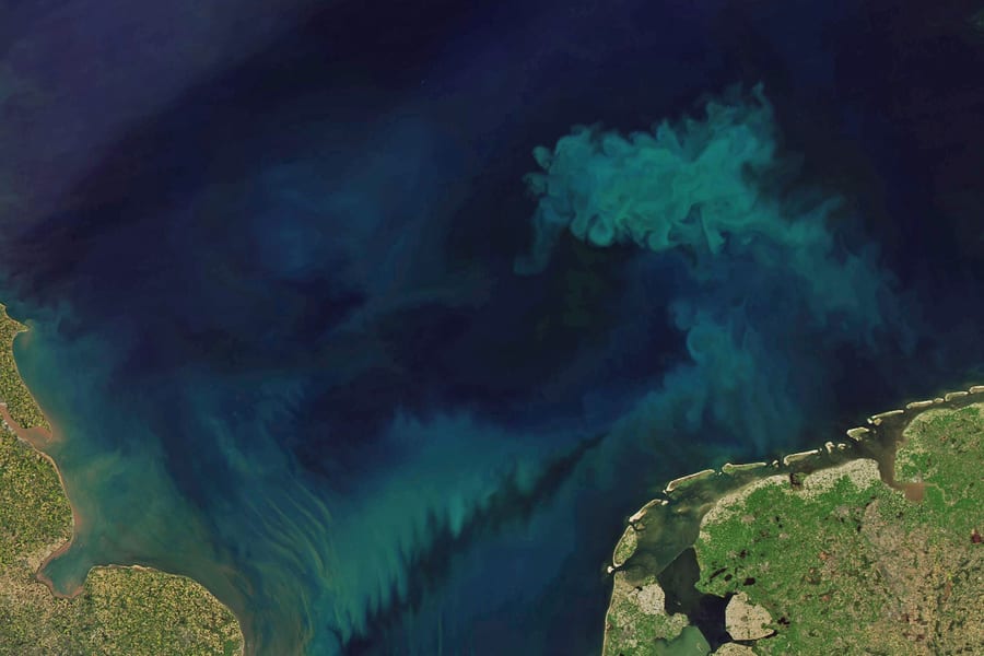 Satellite image of an algae bloom in the ocean.