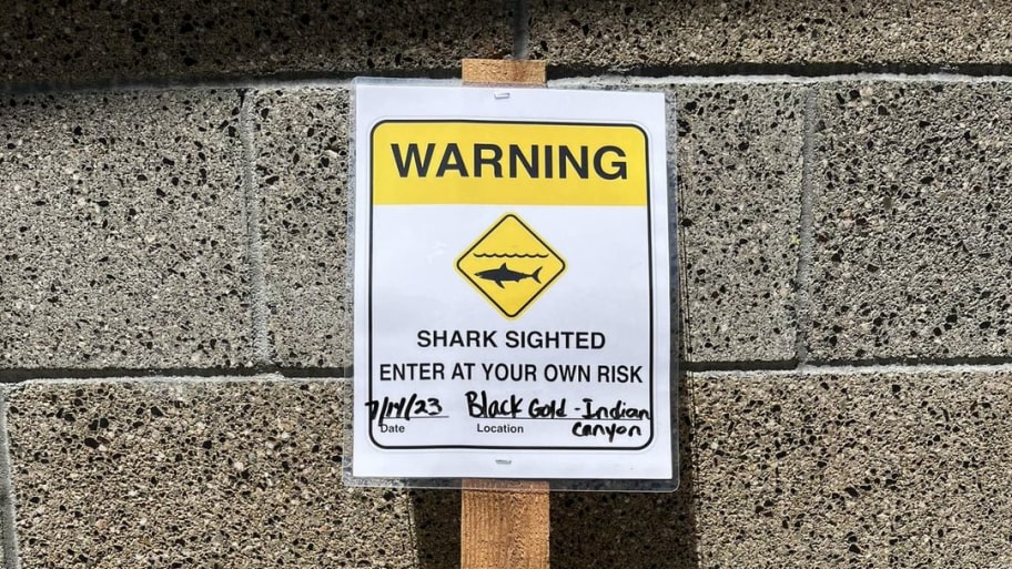 A shark-sighting sign at Black’s Beach